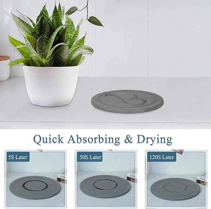 Plant Saucer Flower Pot Saucers Plant Trays for Pots Instant Dry Diatomaceous Earth Round Plant Drip Trays for Indoors Keeping Counter and Floors Dry and Clean (2Pcs Grey Small)