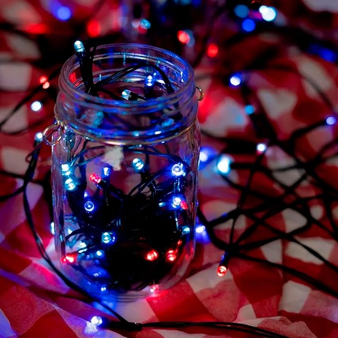 TW SHINE 4th of July String Lights, 200 LED 66 FT Independence Day Light, Waterproof Red White and Blue Christmas Lights with 8 Modes Plug in Patriotic Decorations for Indoor Outdoor Decor