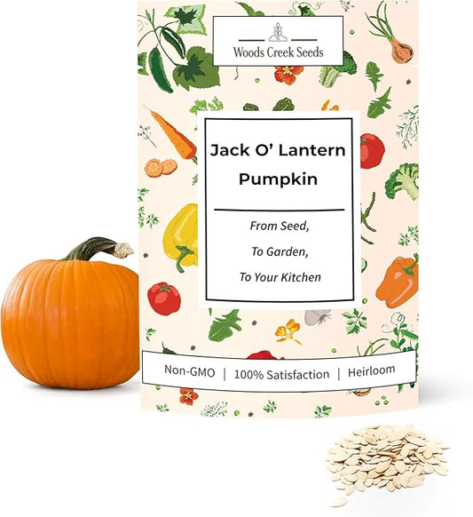 Jack O Lantern Pumpkin Seeds for Planting - Over 40 Heirloom Non-GMO Pumpkin Seeds to Plant - Ideal Heirloom Seeds to Grow for Decor & Fall Harvest - Pumpkins for Outdoor Gardens