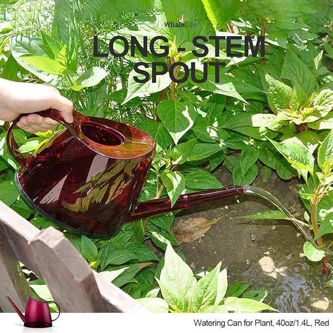 WhaleLife Indoor Watering Can for House Bonsai Plants (1.4L, Red)