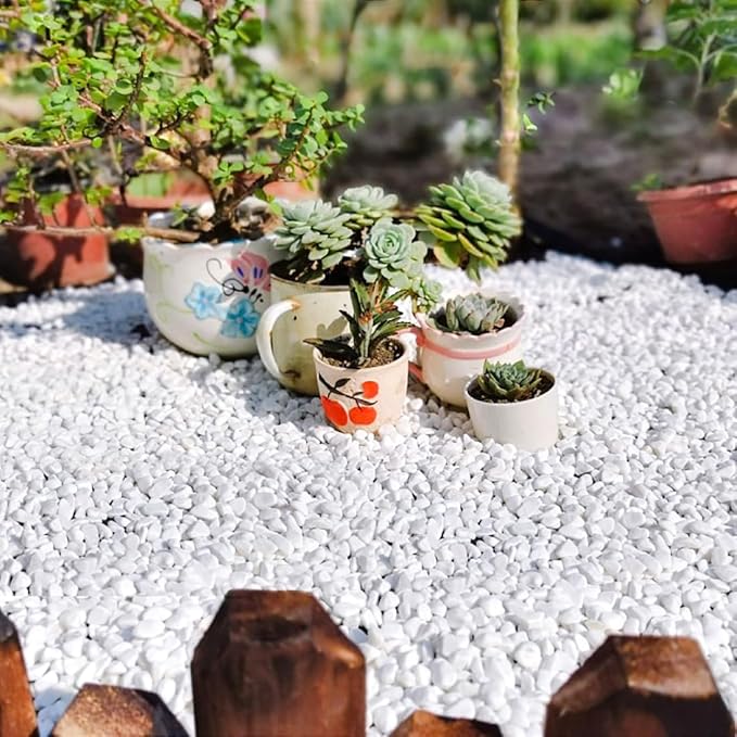 10LB Succulent and Cactus Gravel, 1/5 Inch White Natural Decorative Polished Pebbles for Landscaping, River Rocks for Plants, Vases, Aquariums, Terrarium and Outdoor Gardening