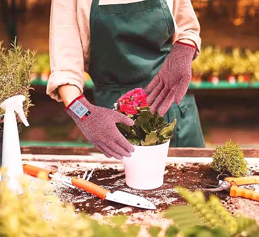 Cutting Gloves, 2 Pairs of Cut Resistant Gloves Food Grade, Cut Resistant Gloves for Kitchen, Oyster Shucking, Fish Fillet Processing, Carving Wood and Gardening(Large-Red)