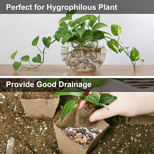 20Ib Rain Forest Rocks- Decorative Pebbles for Plants- River Rocks for Outdoor Landscaping- 0.3"-0.8" inch High Polished Stones for Aquarium, Terrarium,Vases, Home Decor