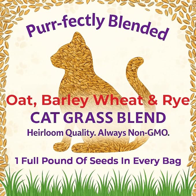 NatureZ Edge Premium Cat Grass Seeds for Indoor Cats, Non GMO - 1/2 lb Oat, Wheat, Barley & Rye Grass for Indoor Cats, Cat Plant, Kitty Lawn, Pet Grass, Hierba para Gatos, Made in USA