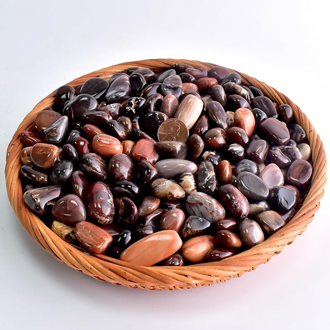 Polished Petrified Wood Crystals - 72 Pcs, 0.5" 10 oz Handpicked Natural Tumbled Gemstones Rocks, Pebbles for Reiki, Chakra, Healing Home Decor