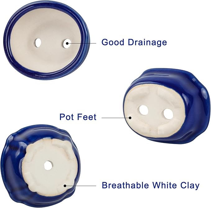 Bonsai Planter 6 pc Mini Glazed Succulent Pots Value Set + 6 Soft Mesh Drainage Screens