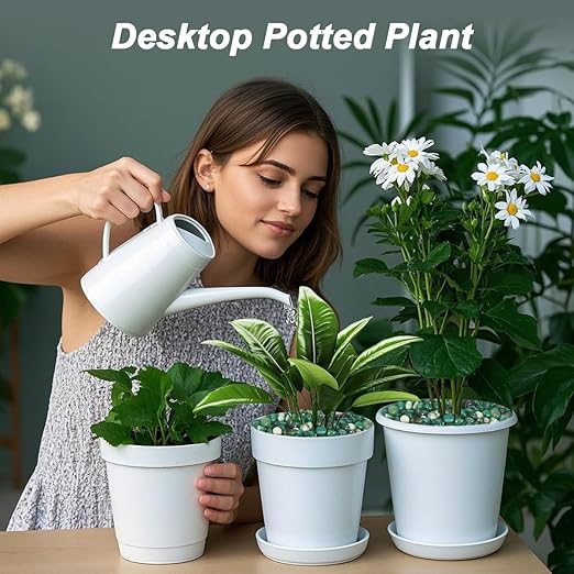 Rocks for Plants Indoor,Landscaping Pebbles, River Rocks Decorative Ornamental Pebbles Garden Landscaping Stones, DIY Smoothed Rocks for Potted Plant Resin Art Vase Fillers Aquarium Gravel Rocks