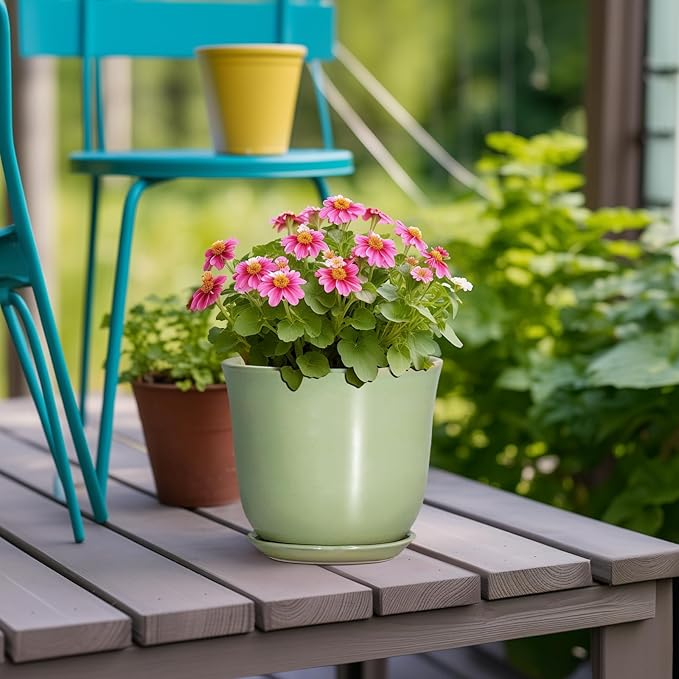 5.6 Inch Plant Pot - Ceramic Pots for Plants Indoor Outdoor, Round Orchid Succulent Pot with Drainage Hole and Saucer, Modern Small Planter, Home Room Window Decor, Plants Lover Gift, Green