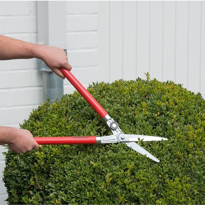 BERGER Professional Lightweight Topiary Hedge Shear, 6.3" Chromium-Plated Blades, Sap Groove to Prevent Sticking, Shock-Absorbing Buffer, Beech Wood Handles, 2520