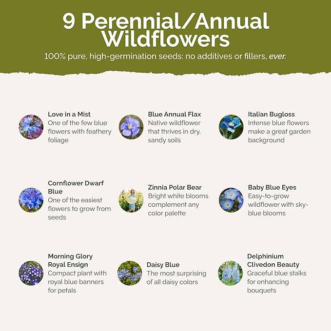 Eden Brothers Blue Ribbon Flower Mixed Seeds for Planting, 5 lb, 2,400,000+ Seeds with Blue Bell, Cornflower Blue, Chicory, Attracts Pollinators, Plant in Spring or Fall, Zones 3, 4, 5, 6, 7, 8, 9, 10