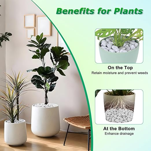 6LB Natural Grey Gravel, 0.8"-1.8" Large River Rocks,Pebbles for Indoor Outdoor Plants Pots Aquarium Fish Tank Pathways Backyard