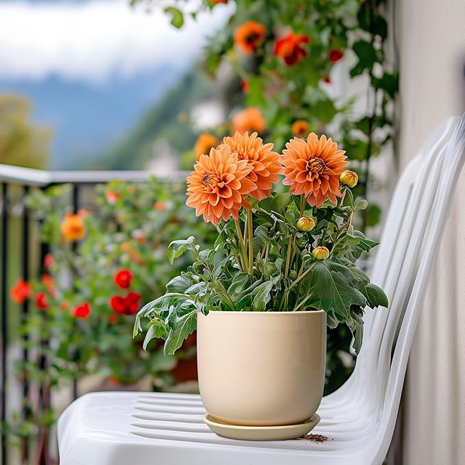 Ceramic Flower Pot 5 Inch - Round Succulent Planter for Indoor Plants with Drainage Hole and Saucer, Patio Room House Office Home Decor, Yellow