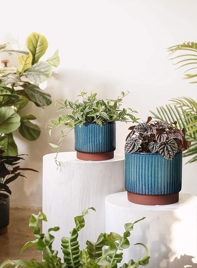 LE TAUCI Ceramic Plant Pots with Drainage Holes, Set of 3, 8+6.7+5.5 Inch Stripe Garden Planter Pots for Outdoor Indoor Plants Flower, Round Succulent Orchid Flower Pot, Reactive Glaze Green
