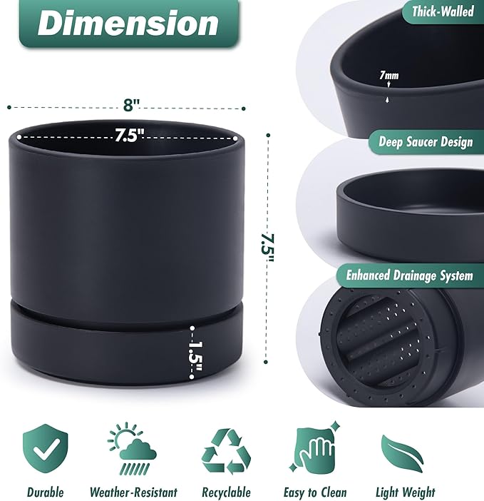 Phoenix Vine 8 Inch Planter Pot with Drainage Hole & Saucer, Deep Water Catch Tray, Straight Cylindrical Round Pot for Plants, Matte Black, Pack of 1, 23-C-T-1