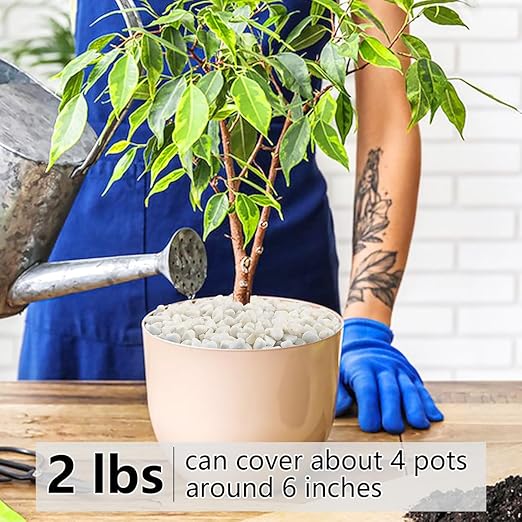 2LB Succulent and Cactus Gravel Pebbles, 3/8 Inch Natural Decorative Polished Stones, River Rocks for Plants, Vases, Aquariums, Terrarium and Outdoor Gardening, White