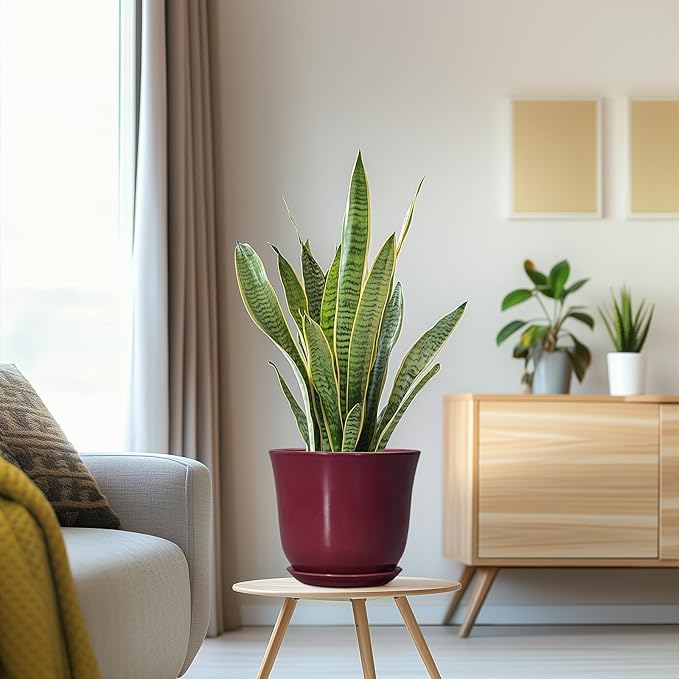 Ceramic Planter - 8 Inch Plant Pot with Drainage Hole and Saucer, Round Planter for Indoor Outdoor, Modern Flower Pots, Porch Garden Home Decor, Gifts for Plant Lovers, Red