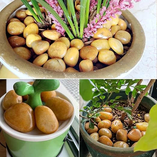 Rocks for Plant 5lbs, Yellow River Rocks 2-3 Inch Natural Pebbles for Indoor Plants, High Polished Decorative Stones Vase Filler Fish Tank Aquariums Landscaping Garden