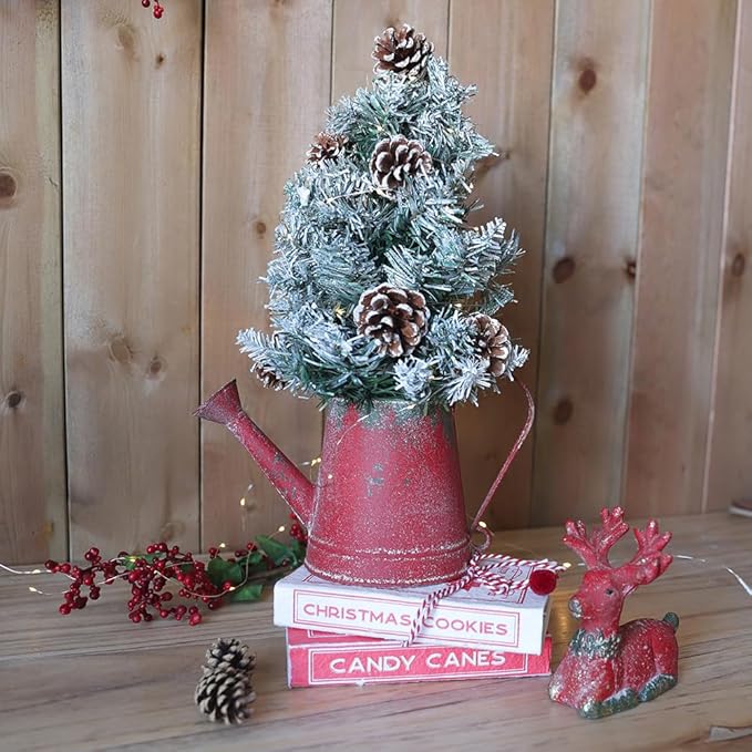 Cute Small Watering Can Indoor Plants Garden Metal Decorative Watering Cans for Outdoor Plants Bonsai Outdoor Garden Flower Decorative (Red, 1.5L, 50.7 Oz)