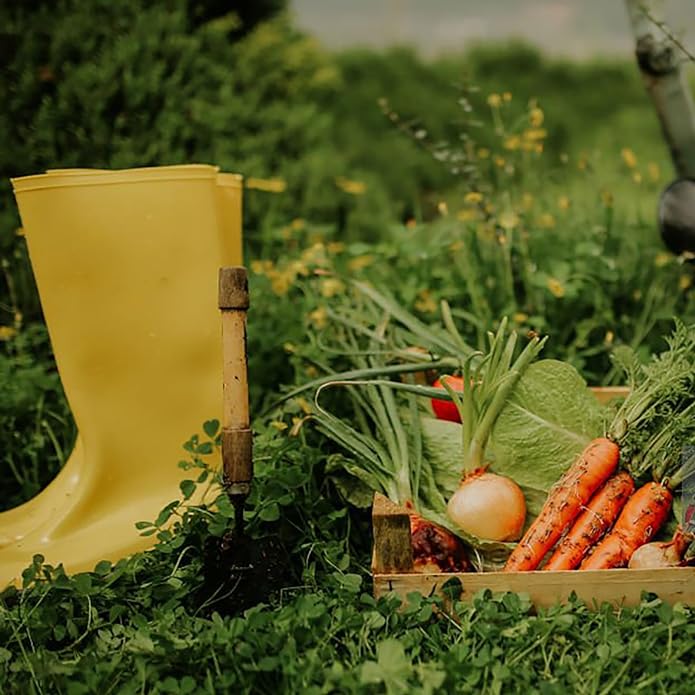 Women's Rain Boots Waterproof Mid Calf Rubber Garden Boots for Women Outdoor Mud Work with Comfort Insole