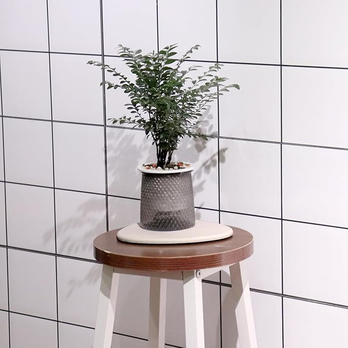 Elfcool Plant Saucer Quick Dry Absorbent Flower Plant Pot Saucer Dirp Tray Diatomaceous Earth Plant Mat for Indoor Outdoor Plants (12''-Off White-1pack)