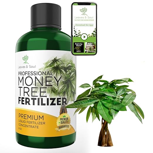 Professional Liquid Money Tree Fertilizer | 3-1-2 Concentrate for Plants and Flowers | Multi-Purpose Blend & Gardening Supplies | 8 oz Bottle