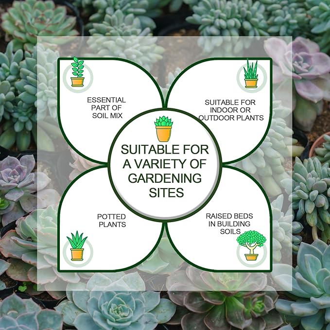 2 LBS Green Pea Gravel, Natural Succulent and Cactus Gravel Pebbles, Pebbles for Indoor Plants, Natural Gardens Mulching, for Houseplants, for Aquarium Gravel, to Maintain Soil Aeration(4-6mm)