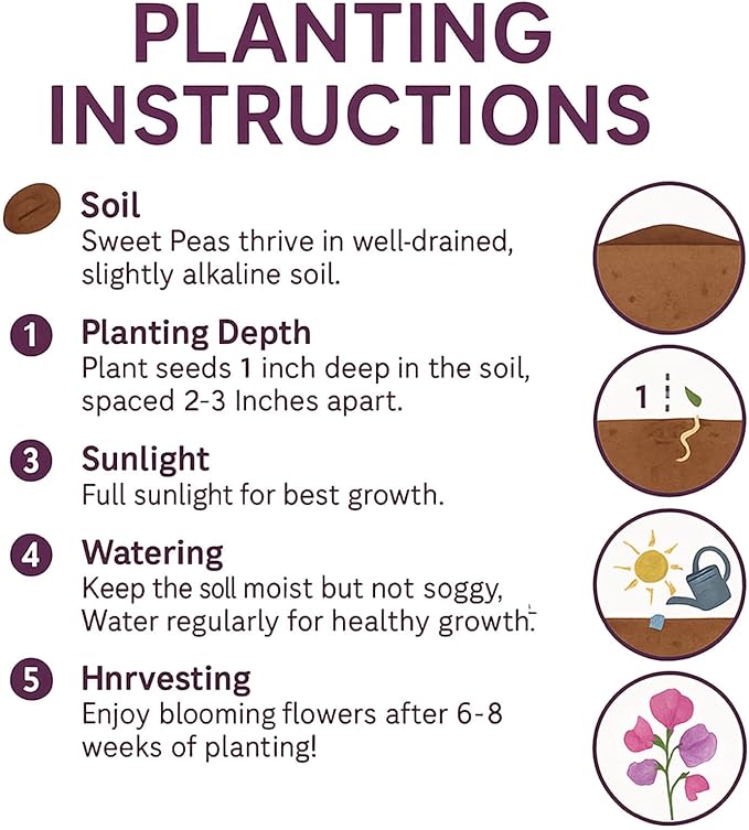 600+ Count Sweet Pea Seeds – Fragrant Flower Seeds, Easy to Grow with High Germination, Colorful Flowering Vines for Trellis, Garden Beds, Balcony, and Patio Planter