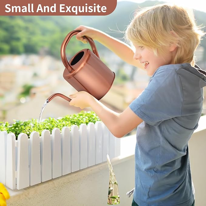 Watering Can, Stainless Steel Watering Can for Indoor & Outdoor Plants, 1L/35oz Long Spout Water Can with Handle, Rust-Proof Plant Watering Pot for House Plants, Garden Flowers