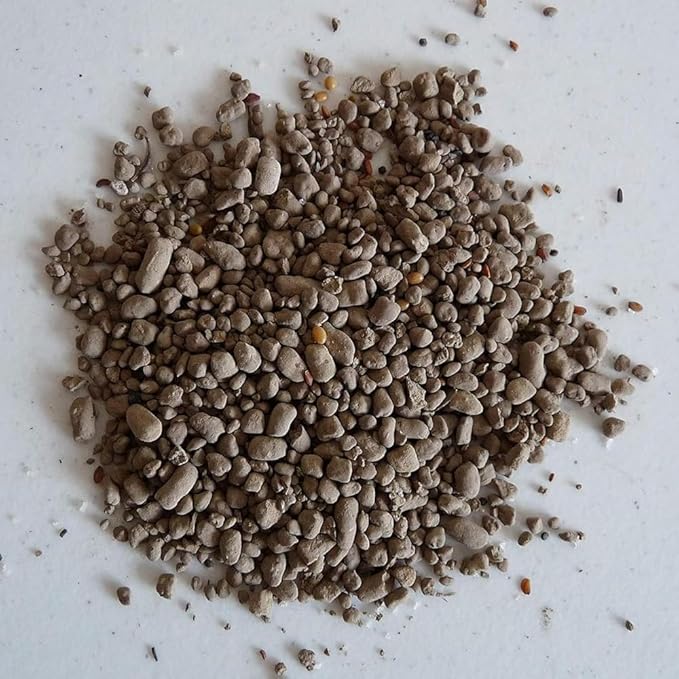 Earth Science Perennial Wildflower Mix—6 lb—3-in-1 Formula with Premium Wildflower Seeds, Plant Food and Soil Conditioners - Non-GMO, Natural Ingredients