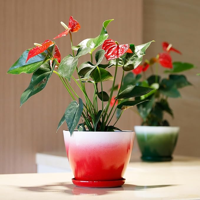 Worth Garden Plastic Round 8" Plant Pots - Set of 6 Multicolor Small Gloss Flower Pot Planters with Drainage Hole and Saucer - Home Decorative Christmas Containers