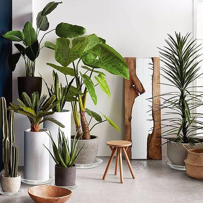 4 Pack Clear Plant Saucer 4 6 8 10 12 14 16 18 20 22 Inch Plant Trays for Pots, Plastic Extra Large Planter Saucers for Outdoors Indoors, Drip Catcher Water Tray for Plants (10 Inch)