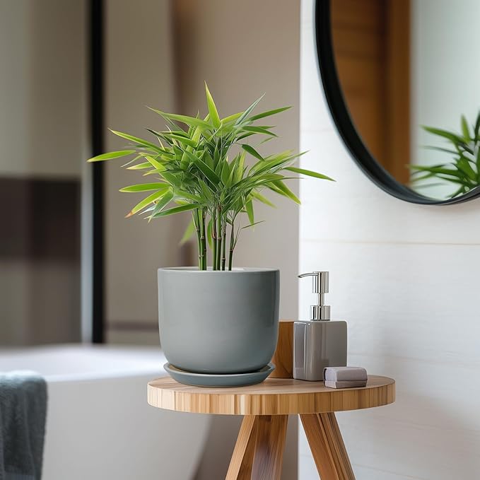 Indoor Planter 7 Inch - Round Ceramic Plant Pot for Cactus Orchid Plants with Drainage Hole and Saucer, Home Outdoor Patio Office Decor, Gray