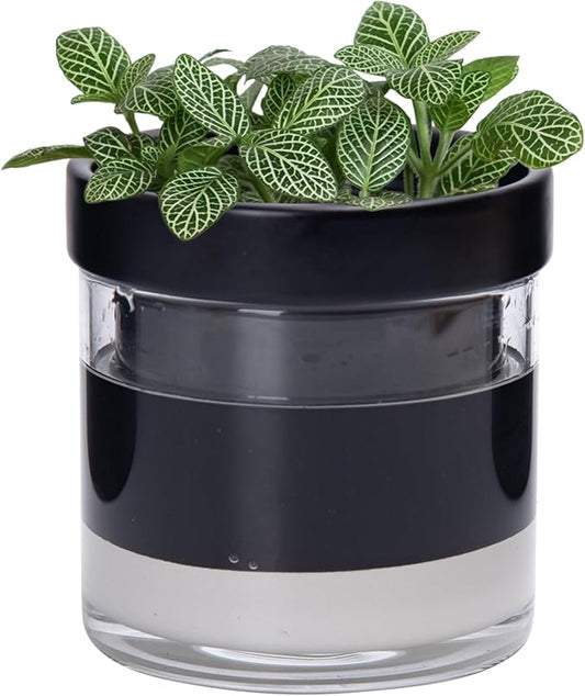Phoenix Vine 4 Inch Self Watering Terracotta Planter, Black Terracotta Clay Pot with Glass Reservoir for Indoor Plants, Herbs, Flowers, Set of 1, 52-C-E-1
