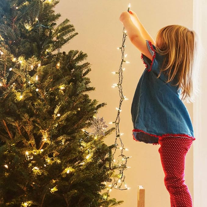 Christmas Lights 33ft 100 LED Battery String Lights with Timer Memory Function USB or Battery Powered Waterproof String Lights for Indoor Outdoor Decoration (Warm White)