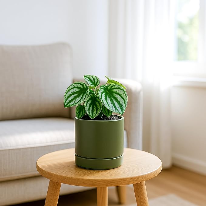 D'vine Dev Set of 2 Plants Pots, 4.7 Inch Ceramic Planter Pot for Plants with Drainage Hole and Saucer, Olive, 94-V-B-J