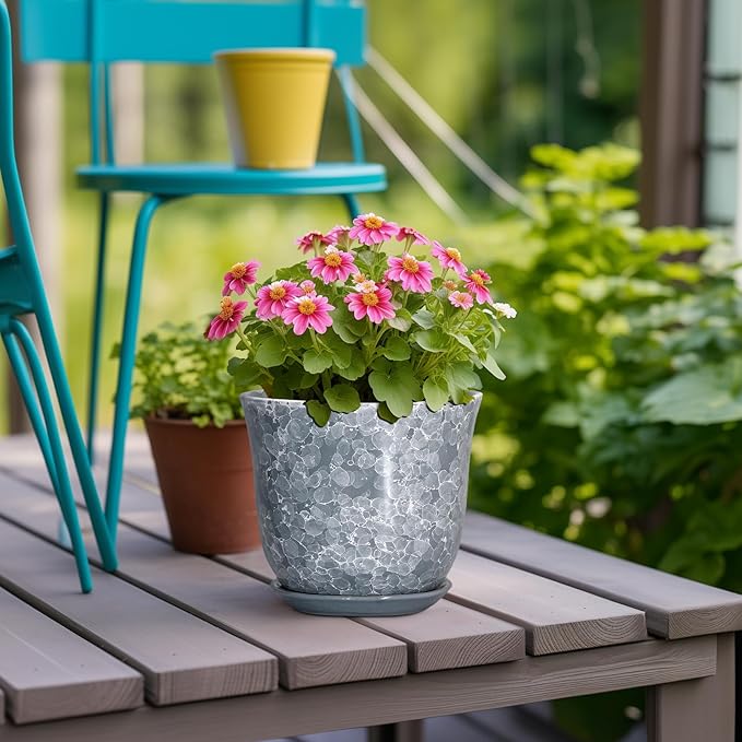 Ceramic Planter - 6 Inch Plant Pot for Indoor Outdoor, Small Plant Pots with Drainage Hole and Saucer, Modern Round Planter, Succulent Orchid Pot, Home Room Decor, Birthday Gifts, Grey