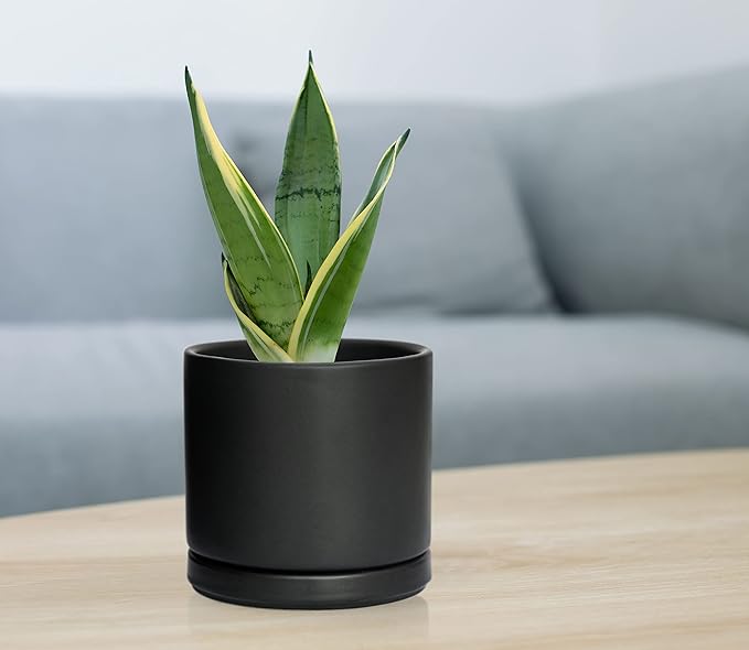 D'vine Dev Set of 2 Plants Pot, 4.6 Inch Ceramic Planter Pot for Plants with Drainage Hole and Saucer, Black, 94-V-B-2