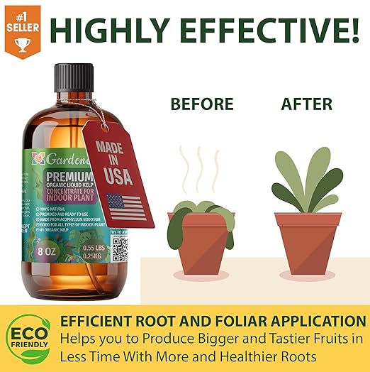 𝐁𝐄𝐒𝐓𝐒𝐄𝐋𝐋𝐄𝐑 Organic Liquid Kelp Fertilizer by GARDENERA - [8 OZ] - Organic Plant Superfood for Gardening - Concentrated Kelp & Seaweed Extract for Gardens, Lawns, Plants & Soil
