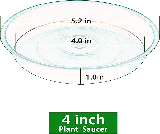 6 Pack Plastic Plant Saucer Water Drip Tray, 4 5 6 7 8 9 10 11 12 inch, Heavy Sturdy Plant Drainage Tray for Indoors Outdoor, Flower Saucers for Pots Base (4", Clear)
