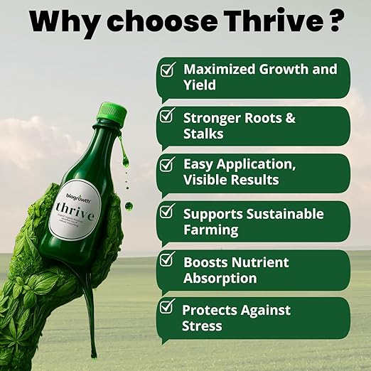 Concentrated Liquid Enzyme-Powered Organic Plant Food (8.45oz) | Enzyme-Rich Fertilizer Growth Booster for Bigger Buds & Stronger Roots, Ideal for Indoor Pots & Outdoor Gardening