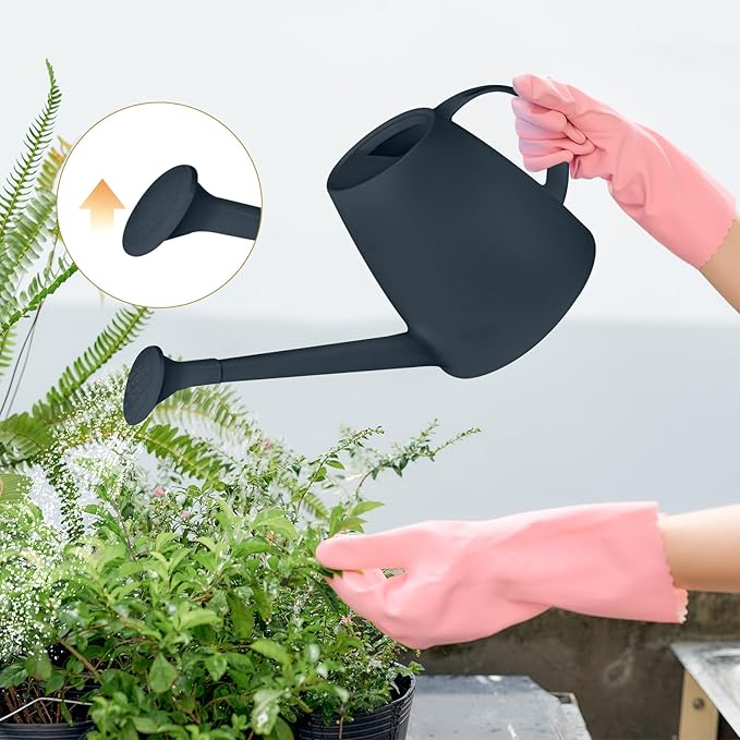 Plastic Watering Can - 1/2 Gallon - Black