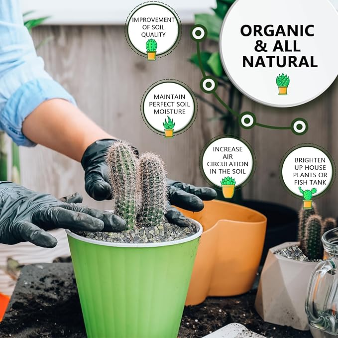 2 LBS Green Pea Gravel, Natural Succulent and Cactus Gravel Pebbles, Pebbles for Indoor Plants, Natural Gardens Mulching, for Houseplants, for Aquarium Gravel, to Maintain Soil Aeration(4-6mm)