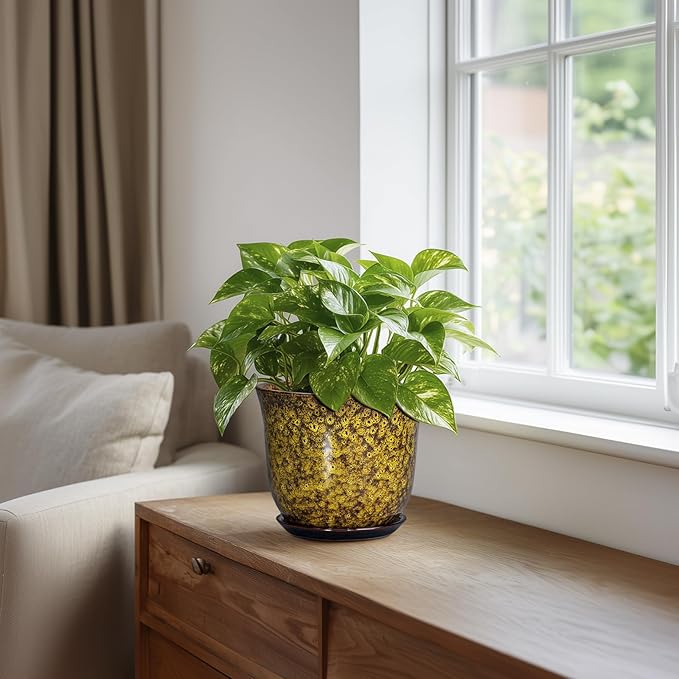 Ceramic Plant Pots - 5.6 Inch Planter with Drainage Hole and Saucer, Succulent Orchid Pots for Indoor Outdoor, Small Round Flower Pot, Room Window Office Decor, House Warming Gifts, Yellow