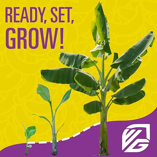 Wellspring Gardens Banana Fuel Liquid Fertilizer - Plant Fertilizer Concentrate - Plant Food - Formula for Banana Trees & Plants - Grow Healthy and Happy Plants - 32 fl oz