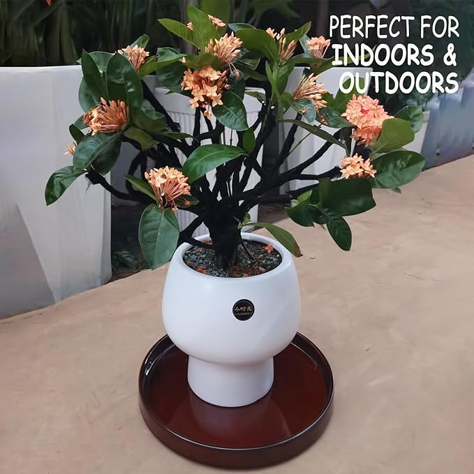 Ceramic Plant Saucer 12 Inch, Round Plant Trays for Indoors/Outdoors, Flower Pot Saucers for Holding Water Drips and Soil, Ceramic Drainage Tray for Plant Pot (Brown)