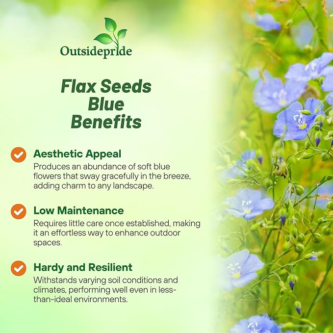Outsidepride Blue Flax Seeds - 5000 Pcs Perennial Flower Seeds for Planting, Self-Seeding, Drought-Tolerant w/Compact Growth, Ideal for Small Gardens, Meadows, Borders, or Mass Plantings