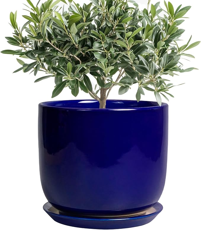 8 Inch Ceramic Plant Pot - Decorative Round Planter for Indoor Plants with Drainage Hole and Saucer, Home House Room Office Garden Decor, Blue