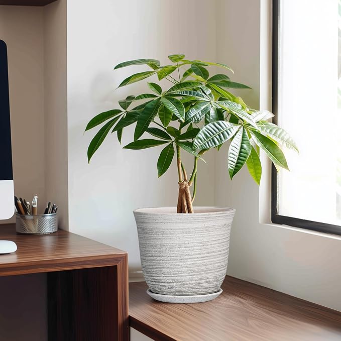 Ceramic Plant Pots - 8 Inch Plant Pot with Drainage Hole and Saucer, Round Flower Pots for Indoor Outdoor, Modern Planter, Decorative Planters, Home Apartment Decor, Gardening Gifts, Grey