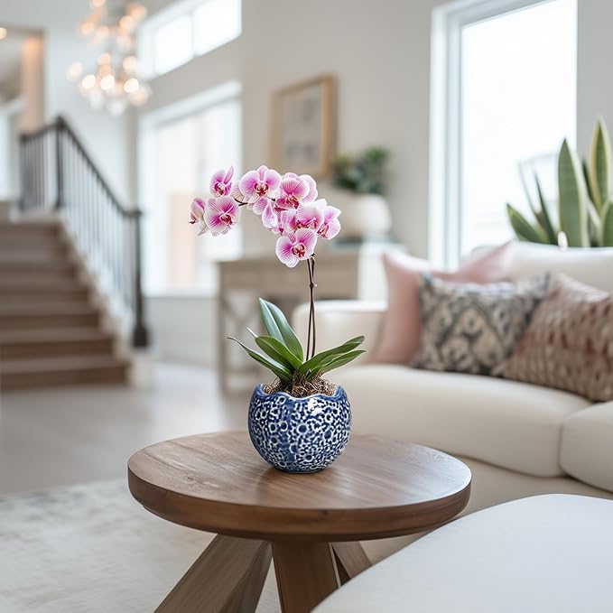 4 inch Plant Pots - Small Ceramic Planter with Drainage Hole, Succulent Pots for Indoor Outdoor, Unique Round Planter, Modern Decorative Flower Pot, Desk Decor, Plant Lovers Gifts, Blue