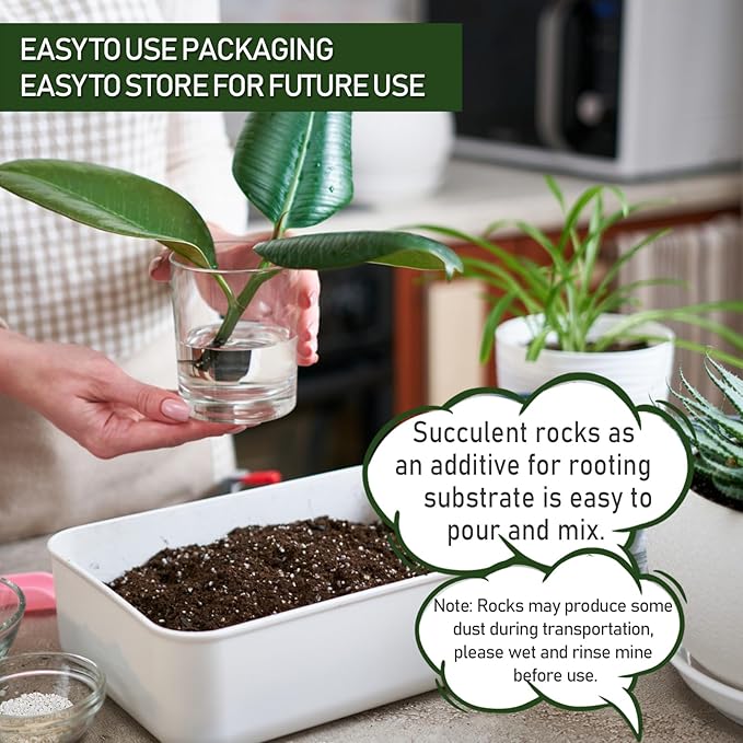 2 LBS White Pea Gravel, Natural Succulent and Cactus Gravel Pebbles, Pebbles for Indoor Plants, Natural Gardens Mulching, for Houseplants, for Aquarium Gravel, to Maintain Soil Aeration(4-6mm)